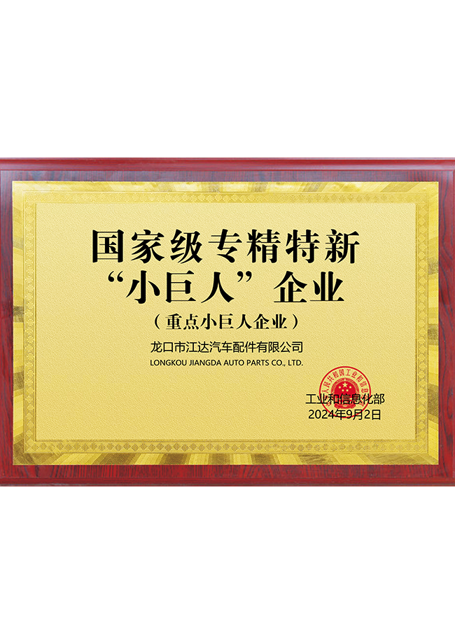 专精特新“小巨人”企业